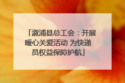 溆浦县总工会：开展暖心关爱活动 为快递员权益保障护航