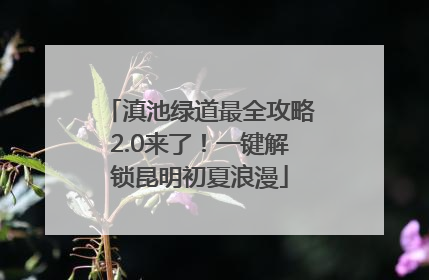 滇池绿道最全攻略2.0来了！一键解锁昆明初夏浪漫