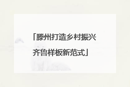 滕州打造乡村振兴齐鲁样板新范式