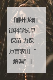 滕州龙阳镇科学抗旱保苗 力保万亩农田“解渴”