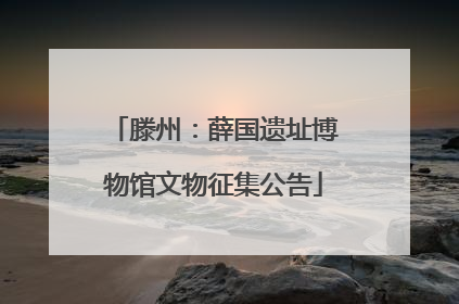 滕州：薛国遗址博物馆文物征集公告