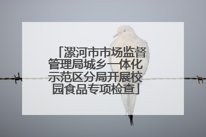 漯河市市场监督管理局城乡一体化示范区分局开展校园食品专项检查