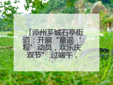漳州芗城石亭街道：开展“童谣‘粽’动员，欢乐庆双节” 过端午，庆六一活动