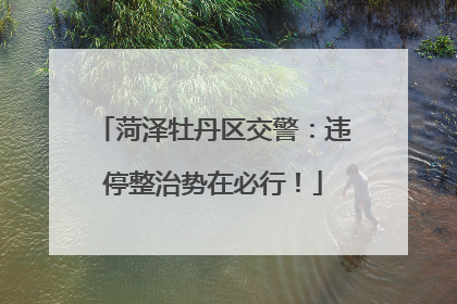 菏泽牡丹区交警：违停整治势在必行！