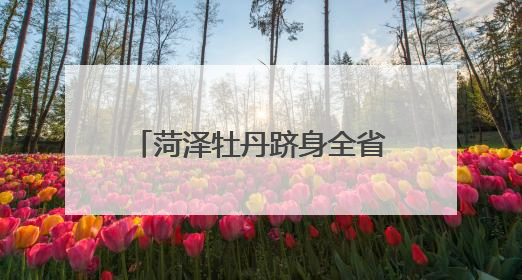 菏泽牡丹跻身全省品牌影响力第一
