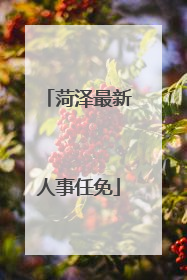 菏泽最新人事任免