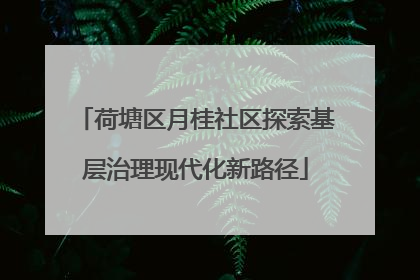 荷塘区月桂社区探索基层治理现代化新路径