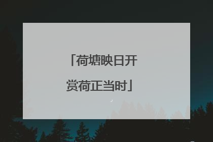 荷塘映日开 赏荷正当时