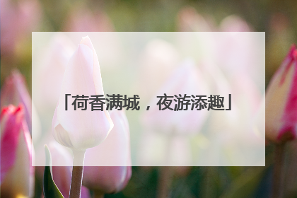 荷香满城，夜游添趣