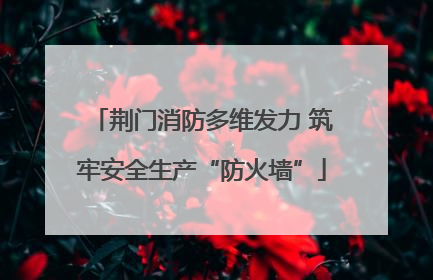荆门消防多维发力 筑牢安全生产“防火墙”