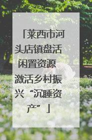 莱西市河头店镇盘活闲置资源 激活乡村振兴“沉睡资产”
