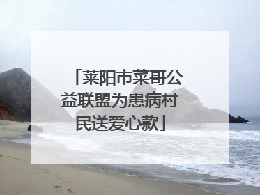 莱阳市菜哥公益联盟为患病村民送爱心款