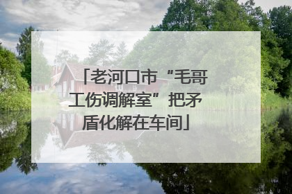 老河口市“毛哥工伤调解室”把矛盾化解在车间