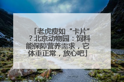 老虎瘦如“卡片”？北京动物园：饲料能保障营养需求，它体重正常，放心吧