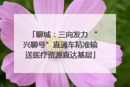 聊城：三向发力 “兴聊号”直通车精准输送医疗资源直达基层