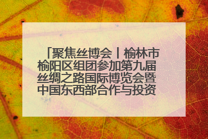 聚焦丝博会丨榆林市榆阳区组团参加第九届丝绸之路国际博览会暨中国东西部合作与投资贸易洽谈会
