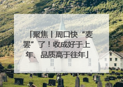 聚焦丨周口快“麦罢”了！收成好于上年、品质高于往年