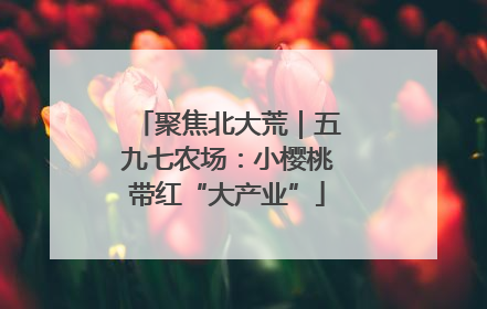 聚焦北大荒｜五九七农场：小樱桃带红“大产业”