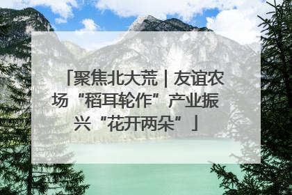 聚焦北大荒｜友谊农场“稻耳轮作”产业振兴“花开两朵”
