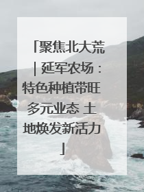 聚焦北大荒｜延军农场：特色种植带旺多元业态 土地焕发新活力