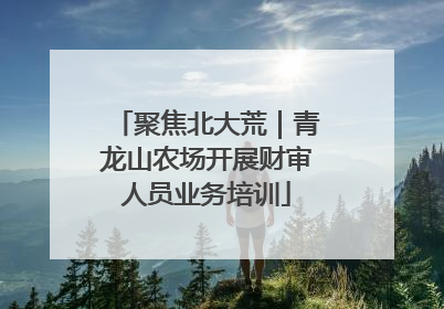 聚焦北大荒｜青龙山农场开展财审人员业务培训