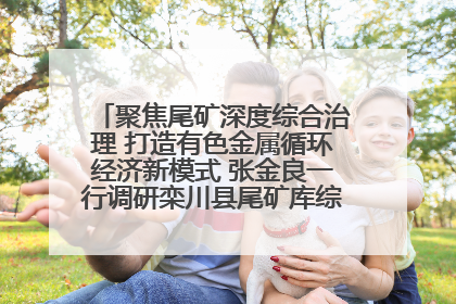 聚焦尾矿深度综合治理 打造有色金属循环经济新模式 张金良一行调研栾川县尾矿库综合治理工作