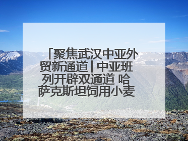 聚焦武汉中亚外贸新通道│中亚班列开辟双通道 哈萨克斯坦饲用小麦将抵鄂