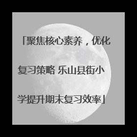 聚焦核心素养，优化复习策略 乐山县街小学提升期末复习效率