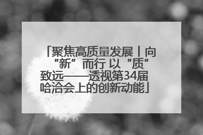 聚焦高质量发展丨向“新”而行 以“质”致远——透视第34届哈洽会上的创新动能