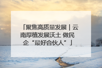 聚焦高质量发展｜云南厚植发展沃土 做民企“最好合伙人”