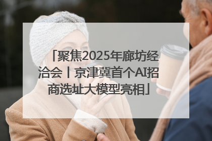 聚焦2025年廊坊经洽会丨京津冀首个AI招商选址大模型亮相