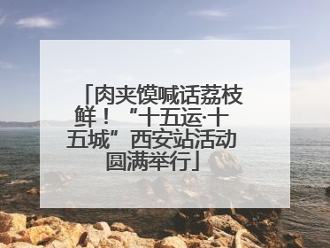 肉夹馍喊话荔枝鲜！“十五运·十五城”西安站活动圆满举行