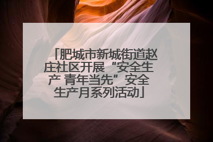 肥城市新城街道赵庄社区开展“安全生产 青年当先”安全生产月系列活动