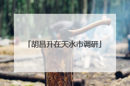 胡昌升在天水市调研