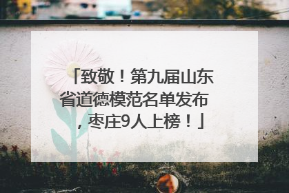 致敬！第九届山东省道德模范名单发布，枣庄9人上榜！