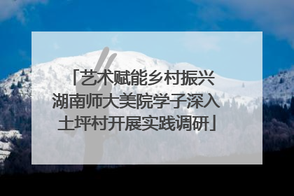 艺术赋能乡村振兴 湖南师大美院学子深入土坪村开展实践调研