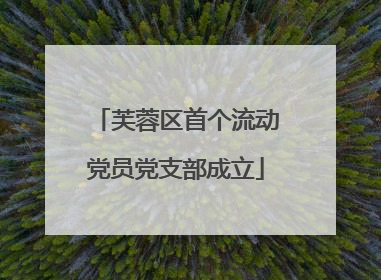 芙蓉区首个流动党员党支部成立