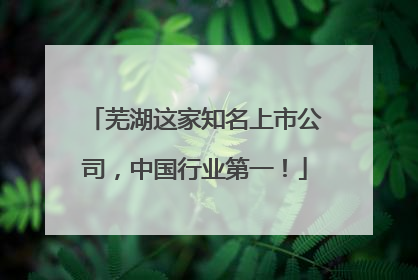 芜湖这家知名上市公司，中国行业第一！