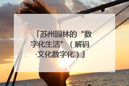 苏州园林的“数字化生活”（解码·文化数字化）