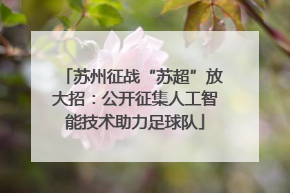 苏州征战“苏超”放大招：公开征集人工智能技术助力足球队