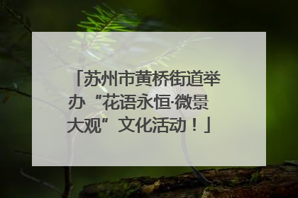 苏州市黄桥街道举办“花语永恒·微景大观”文化活动！