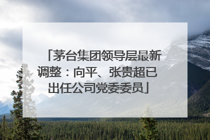 茅台集团领导层最新调整：向平、张贵超已出任公司党委委员