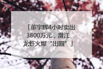 董宇辉4小时卖出3800万元，潜江龙虾火爆“出圈”