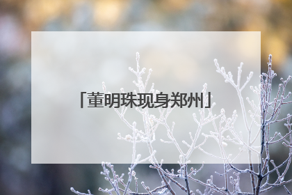 董明珠现身郑州