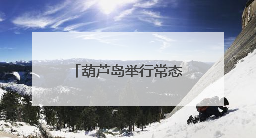 葫芦岛举行常态化扫黑除恶斗争工作新闻发布会