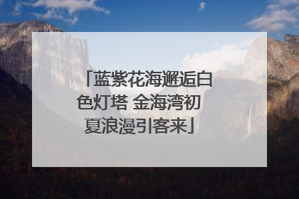 蓝紫花海邂逅白色灯塔 金海湾初夏浪漫引客来