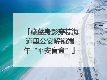 藏蓝身影穿粽海 道里公安解锁端午“平安盲盒”