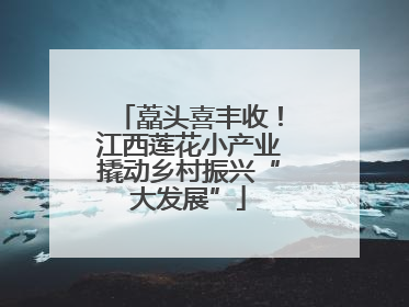 藠头喜丰收！江西莲花小产业撬动乡村振兴“大发展”