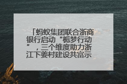蚂蚁集团联合浙商银行启动“栀梦行动”，三个维度助力浙江下姜村建设共富示范区示范点