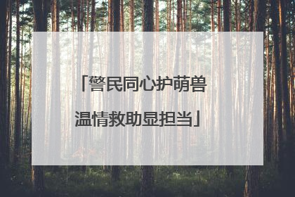 警民同心护萌兽 温情救助显担当